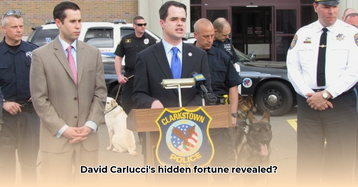 david-carlucci-net-worth